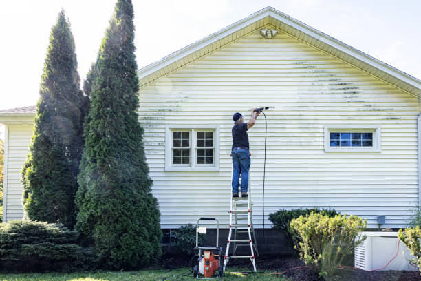 Best Eco-Friendly Pressure Washing in Orion, IL